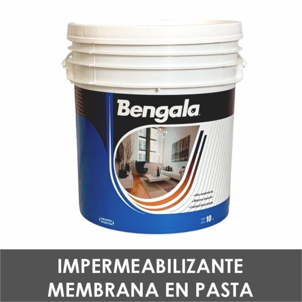 Impermeabilizante Membrana en Pasta