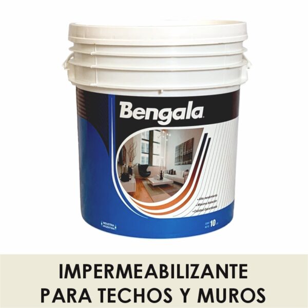 Impermeabilizante para Techos y Muros